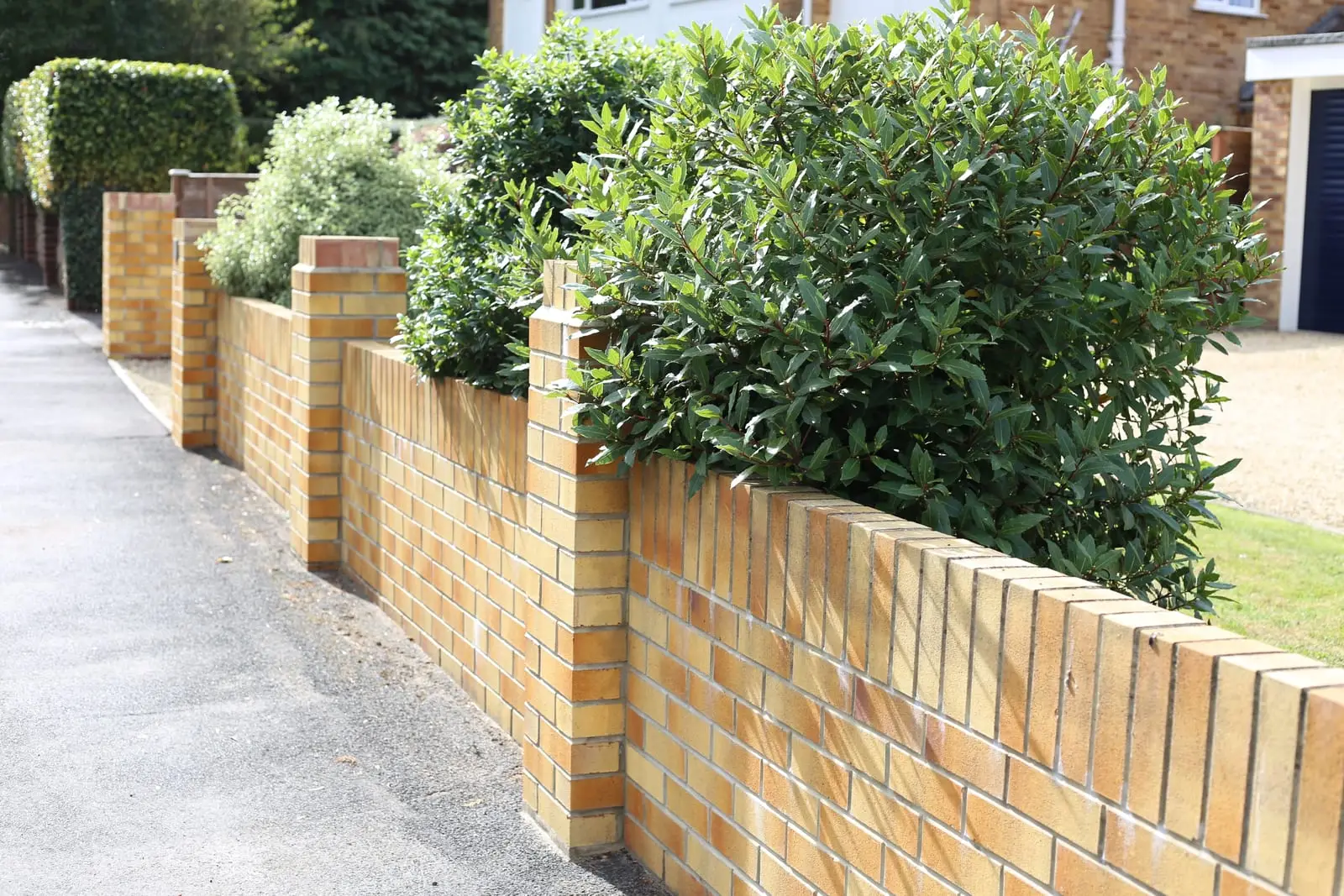 New brick garden wall with piers and coping
