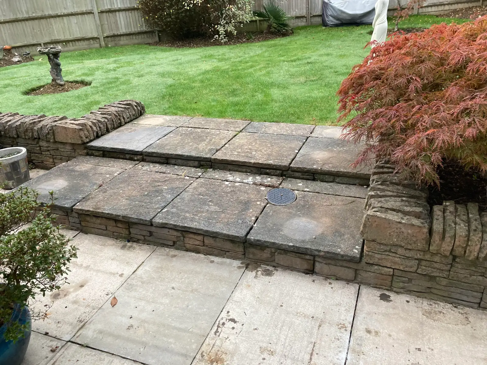 Stone steps up to a lawn beside an acer